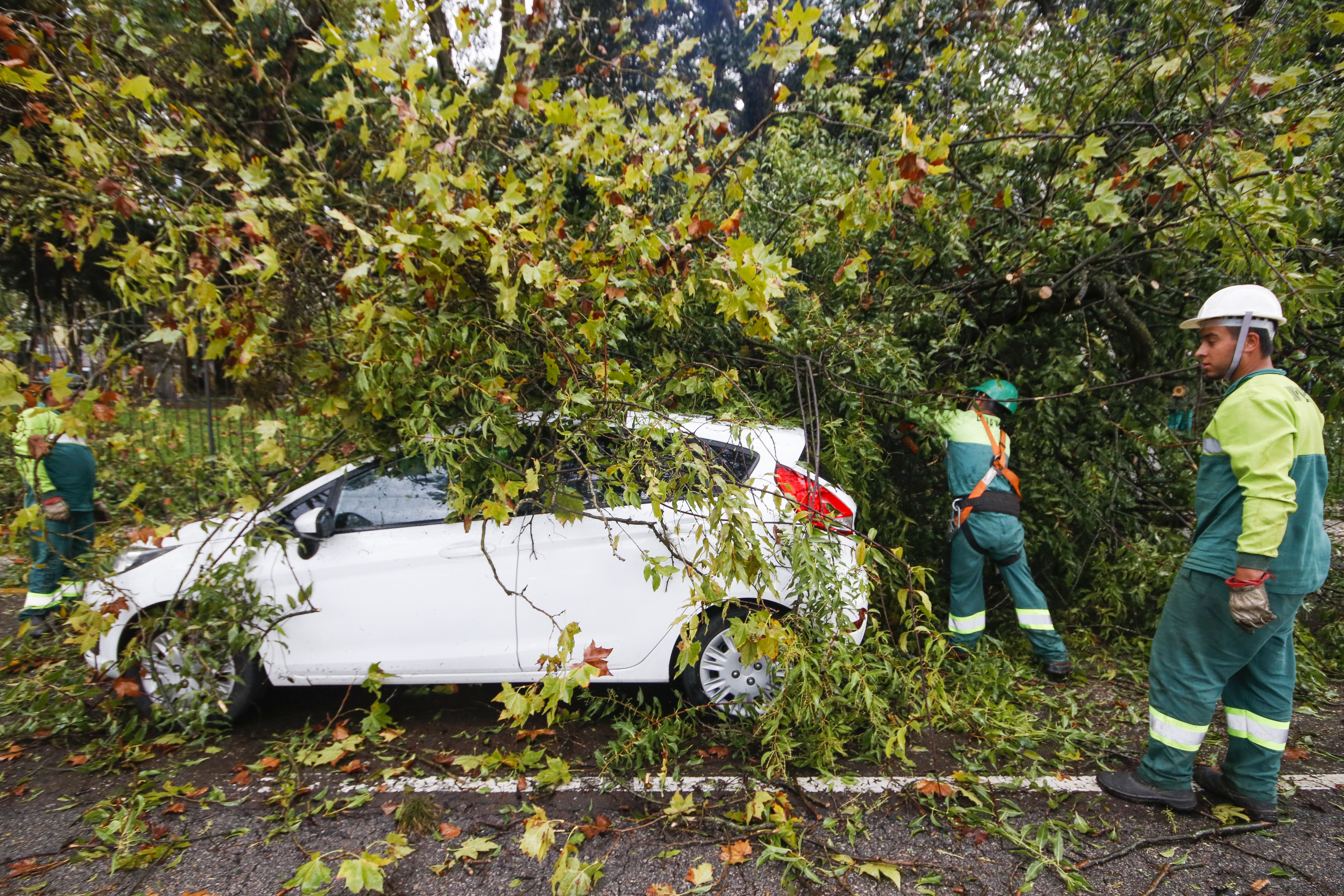 Ventos de 80 km por hora causam caos em Curitiba