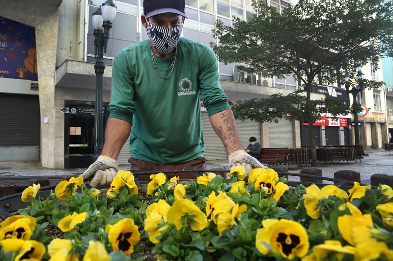 Nova cor das flores do calçadão da Rua XV representa segurança e respeito no trânsito