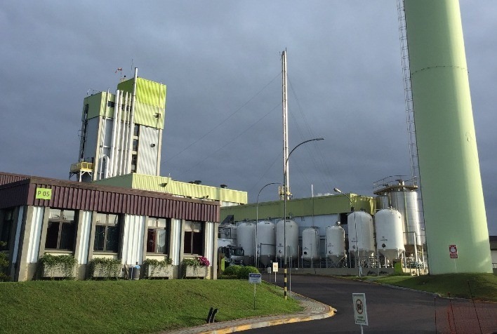 Novozymes anuncia nova planta de leveduras em Araucária para atender mercado de biocombustíveis