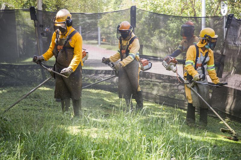 Nova lei para limpeza de terrenos começa a valer em março em Curitiba