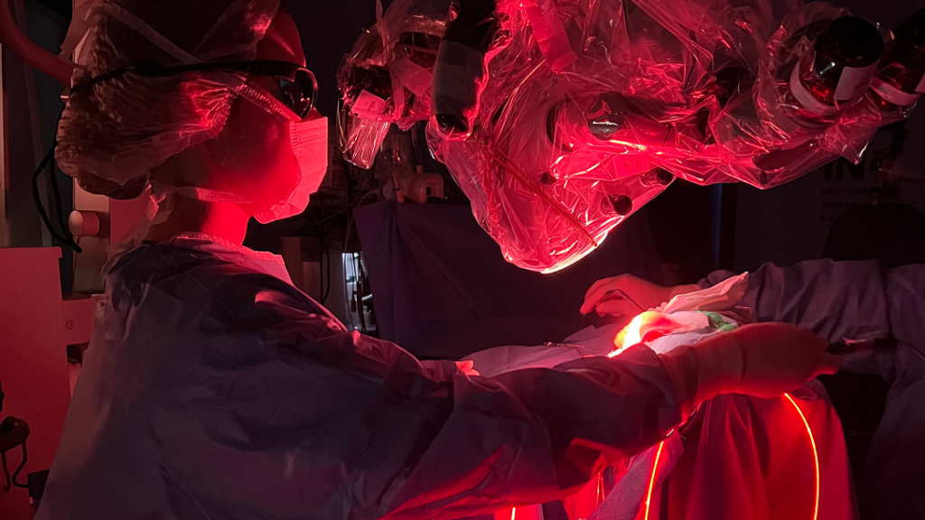 Terapia Fotodinamica Intraoperatorio no INC 2