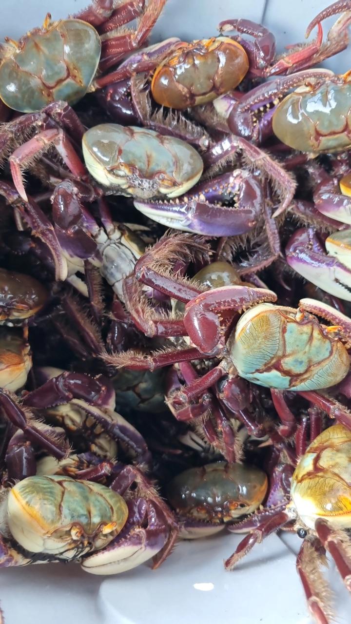 WhatsApp Image 2025 11 26 at 15.23.22