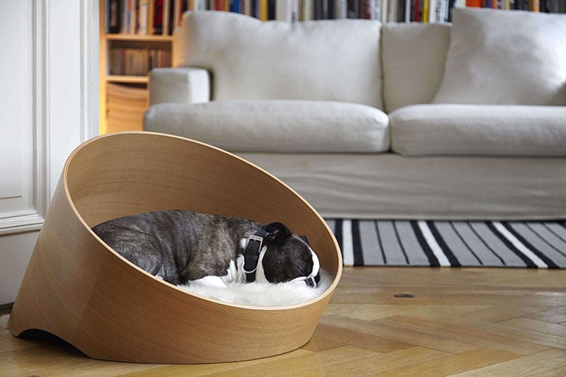 Dog bed hot sale designs