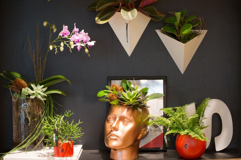 o Jardim Box combina plantas e arte