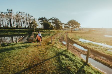 Dia dos Namorados em Curitiba