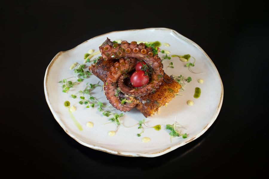 Almoço do Dia dos Pais em Curitiba - Socarrat de Polvo - Marcondes Cozinha Autoral - por Rodrigo Félix Leal 