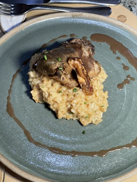 Pato confit com arroz cremoso de tomate assado e figo turco ao molho agridoce (sem glúten) almoço koré qoya curitiba