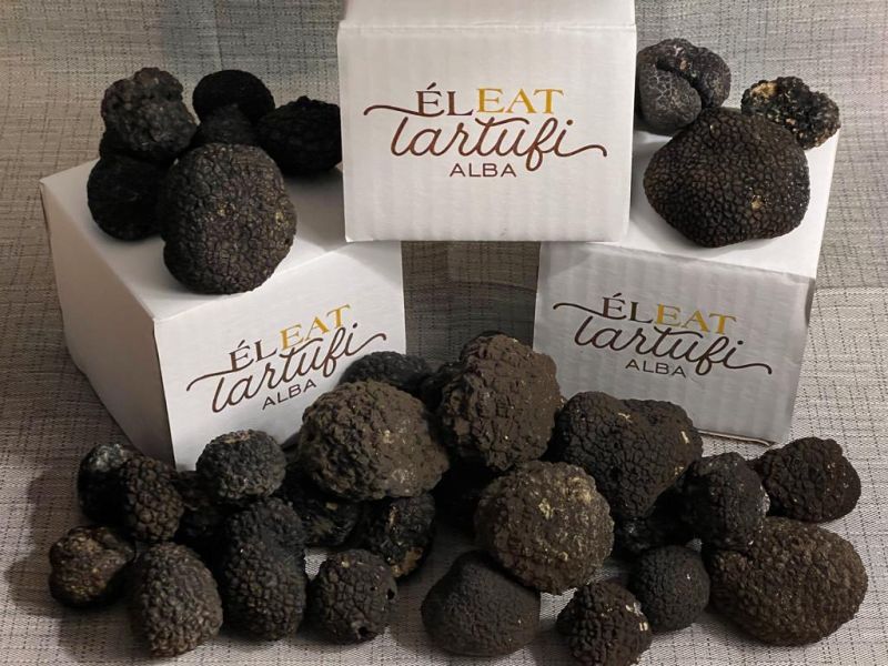 Trufas Frescas - Marcondes Cozinha Autoral