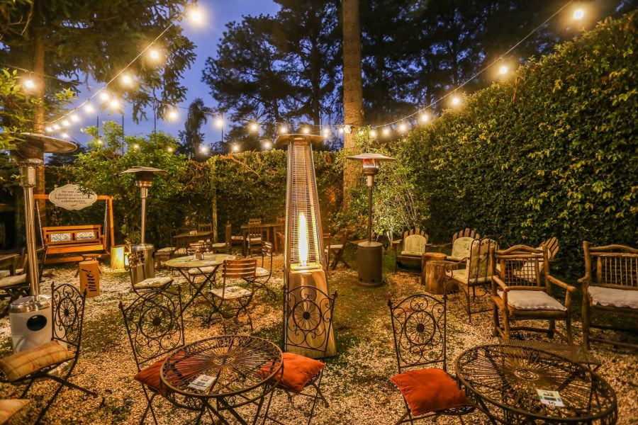 Vino Cabral - foto Valterci SantosIMG_3070 22