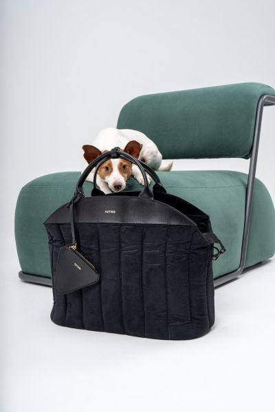 PETWA namix acessórios de luxo para pets 2