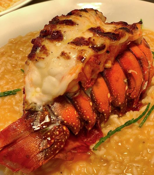 Grado - Reprodução-Instagram (2)