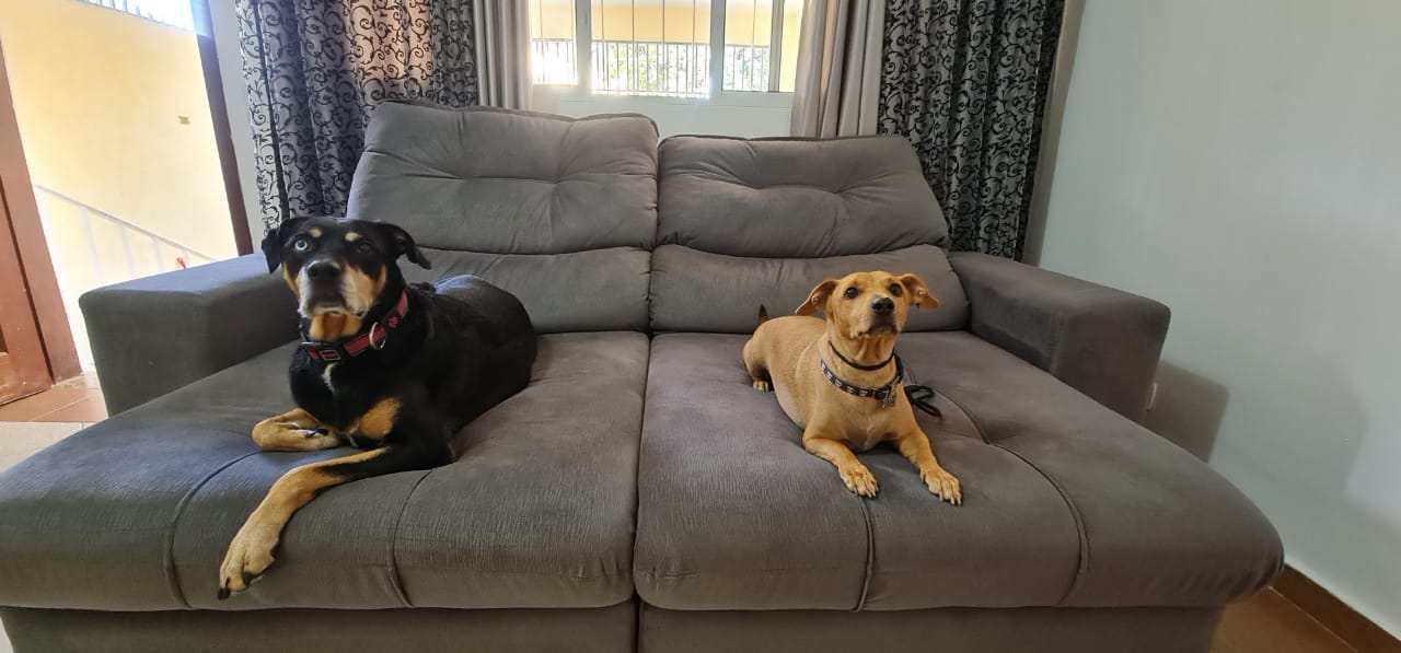Cacau (esquerda) e o "irmão" Stark, que faz tratamento com Cannabis. (Foto: Fernanda Alves e Diego Fonseca)