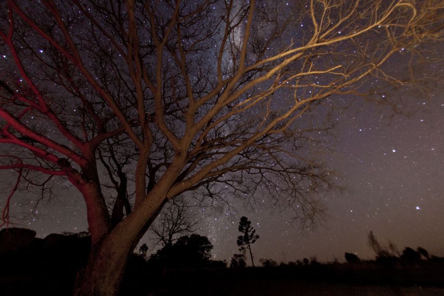 caminhada noturna paraná parque estadual vila velha_sergio mendonça 2