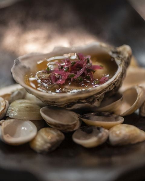 ASU - ostra - foto Munir Bucair divulgacao