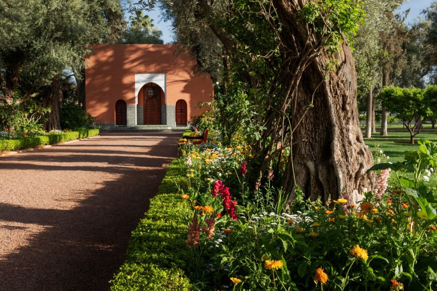 La-Mamounia-gardens-jardins (1)