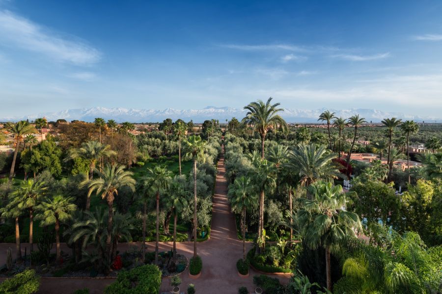 La-Mamounia-gardens-jardins (1)