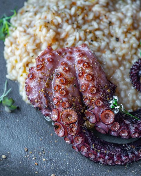 polvo-tostado-grés-gastronomia-dia-dos-namorados-curitiba