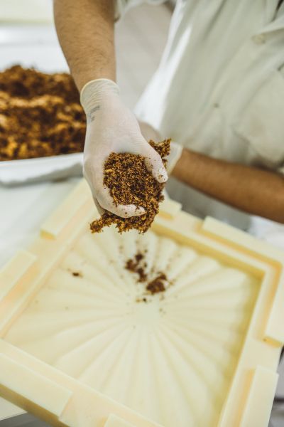 Material produzido pela Mush é feito a partir da mistura do micélio (parte vegetativa dos cogumelos) com resíduos da agroindústria e oferece diversos usos para construções sustentáveis (Foto: Laertes Soares)