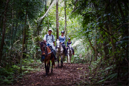 Cavalgar em plena selva tropical: Blancaneaux Lodge, Belize. (Foto: divulgação)