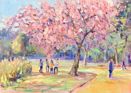 programação em curitiba