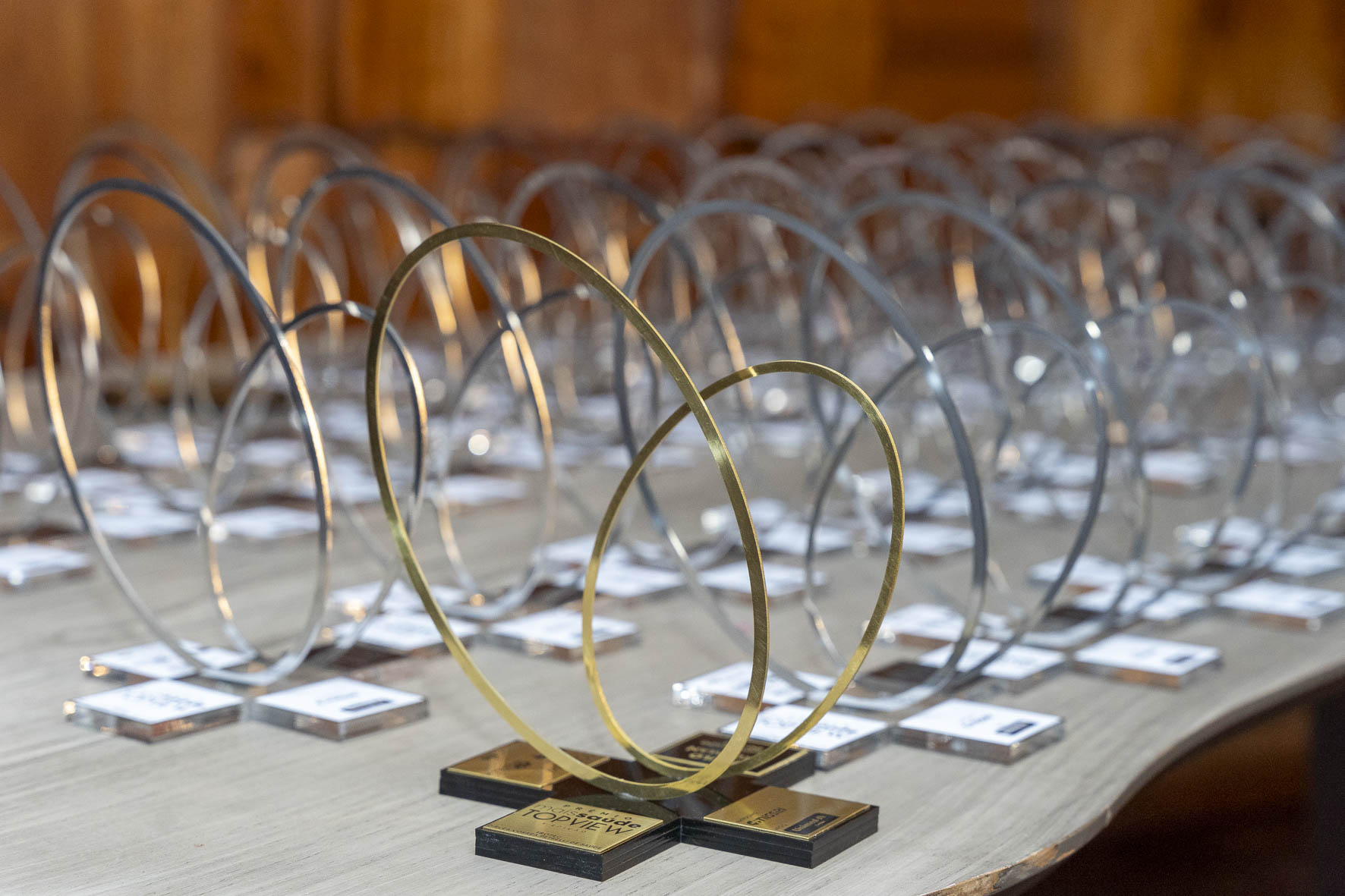 Troféu Dircéa Corrêa Petrelli.