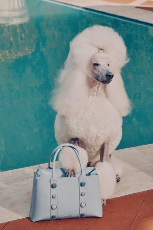 Corello apresenta Summer Bloom para celebrar o Verão 26