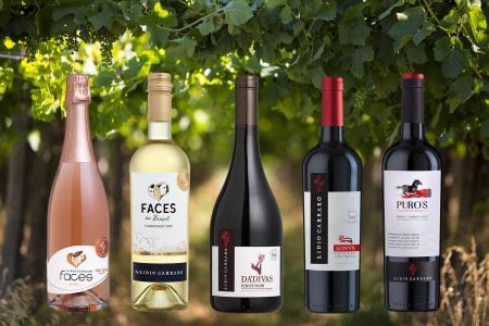 Degustação de vinhos gaúchos no Vino!