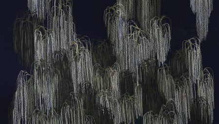 Exposição Mariana Palma no MON