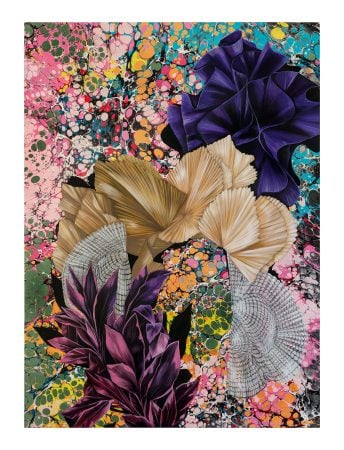 Exposição Mariana Palma no MON