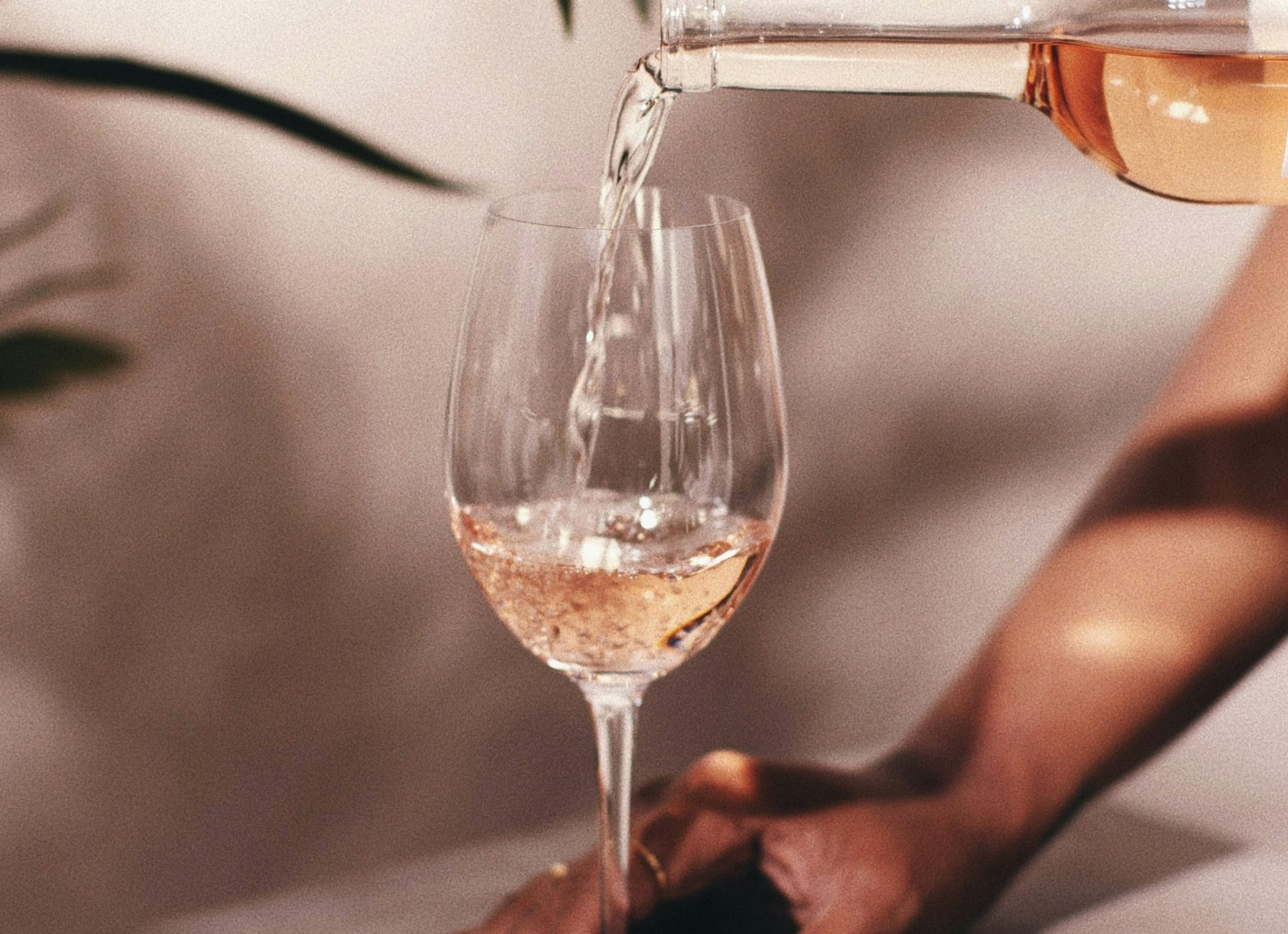 Novo vinho rosé da Bodega Costantini chega para celebrar a Primavera