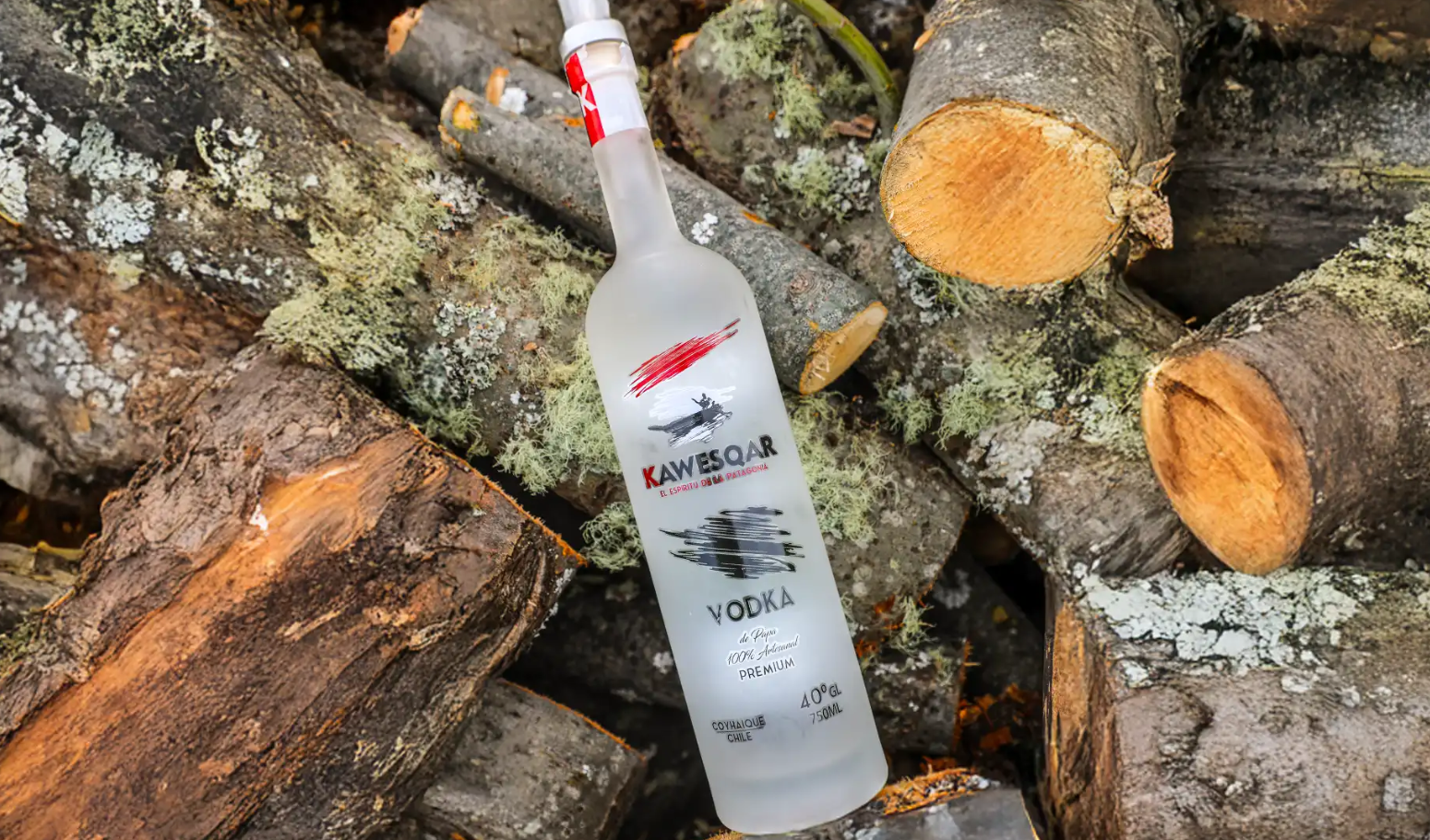 Bebidas produzidas com águas da Patagônia chilena são novidades na Prowine 2025