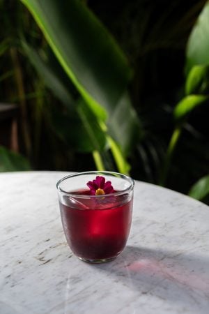 Açaí Punch do Matagal Bar