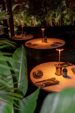 Matagal Bar Curitiba