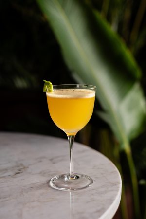 Dominus Daiquiri do Matagal Bar