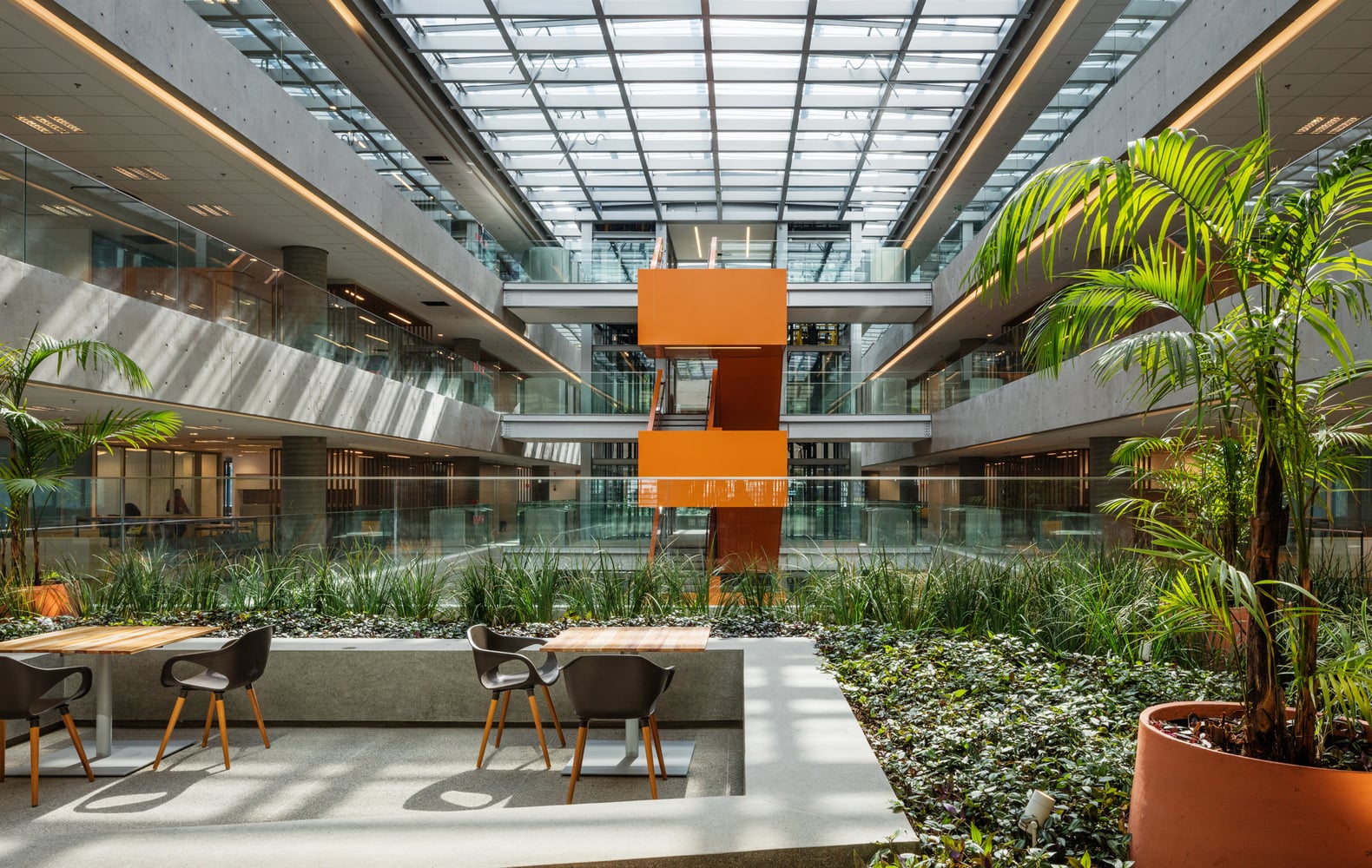 Natura anuncia parceria na COP30