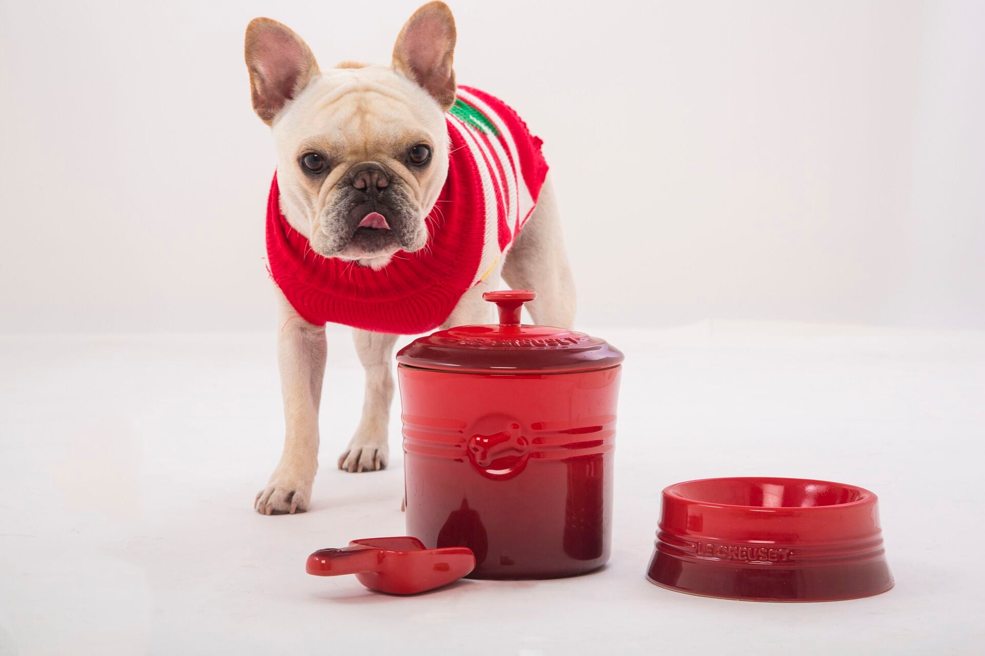 Le Creuset lança Pet Collection para animais de estimação